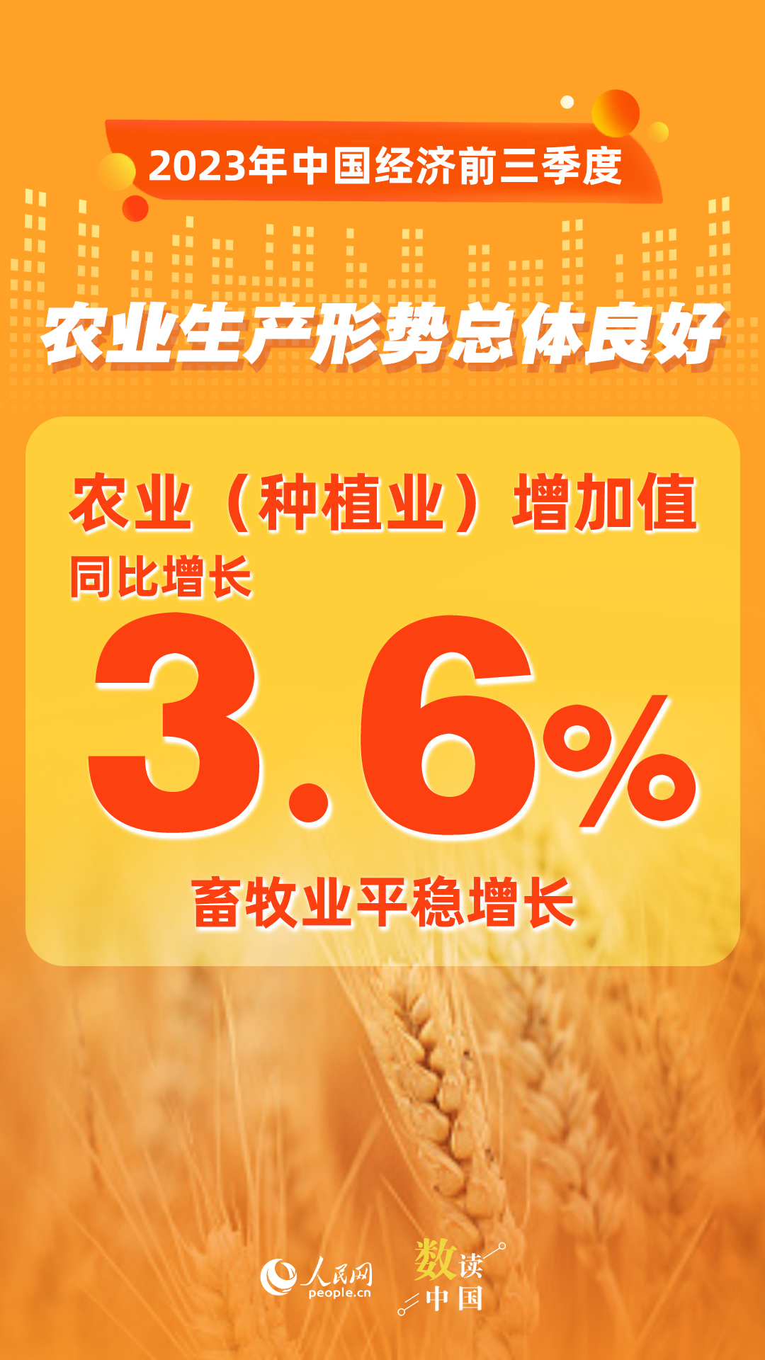 数读中国 