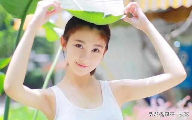 就是这个星座