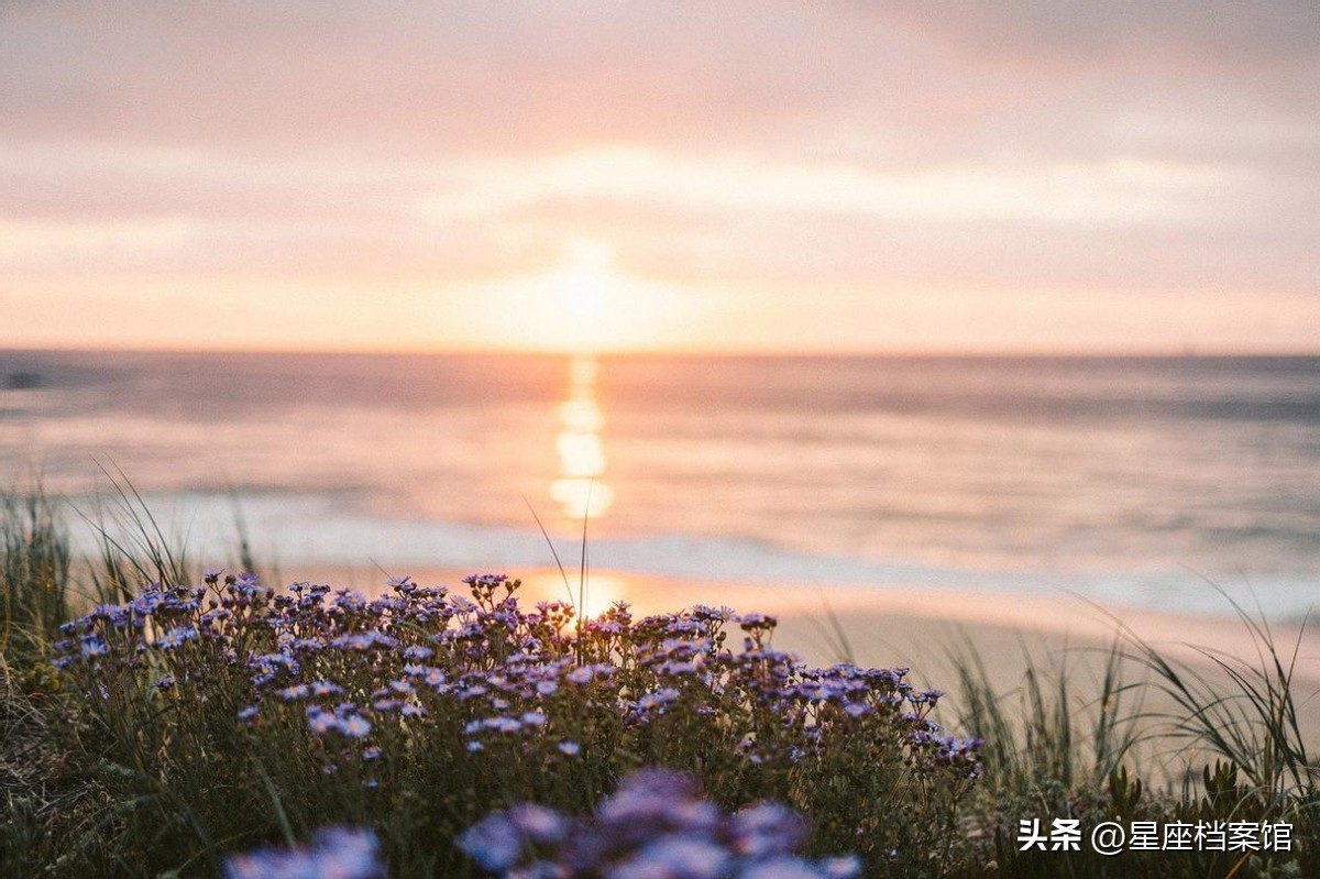 天蝎座2023年