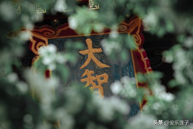 星座闲谈：七个特征告诉你白羊座有多强