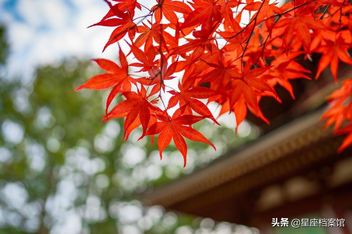 没错