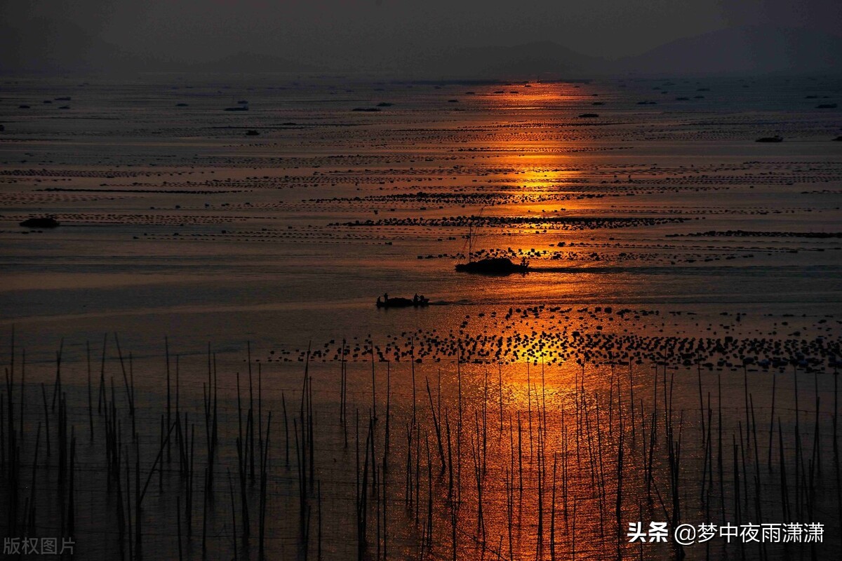 一身傲骨
