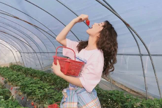 金牛座2023年爱情运势详解