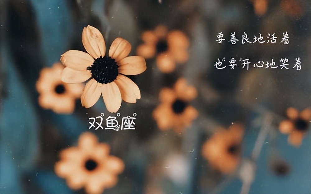 跟双鱼座最配的星座