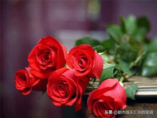 谁说摩羯高冷没人爱