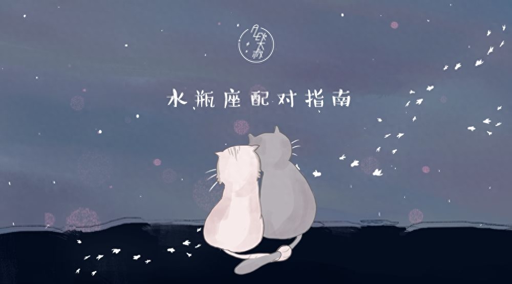 天枰座男和水瓶女配不配
