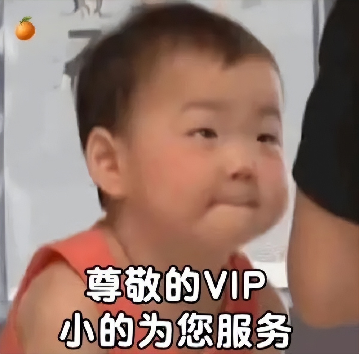 说起最讨厌的星座