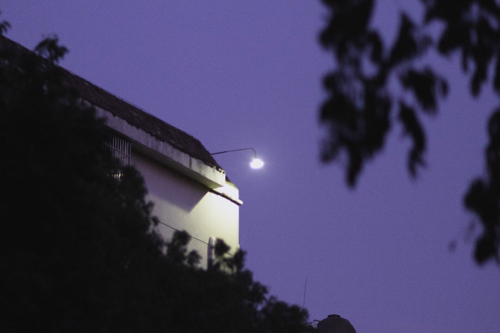 天生学霸的星座