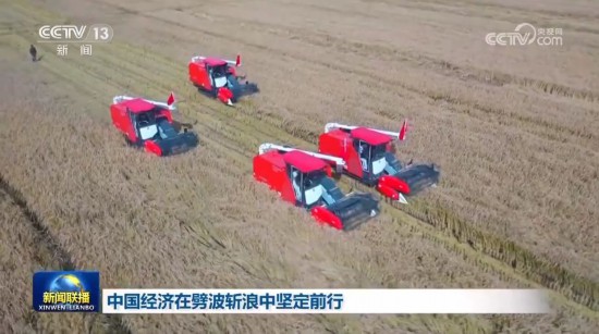 中国经济在劈波斩浪中坚定前行