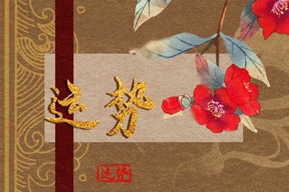 小乖麻根登卓玛2023年星座运势