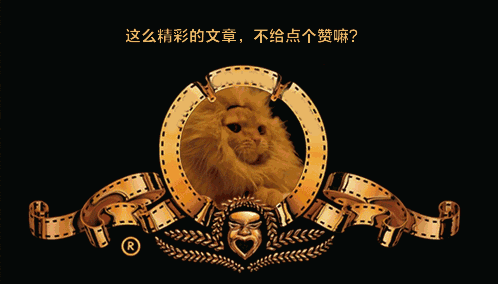 十二星座各自适合养什么品种的宠物
