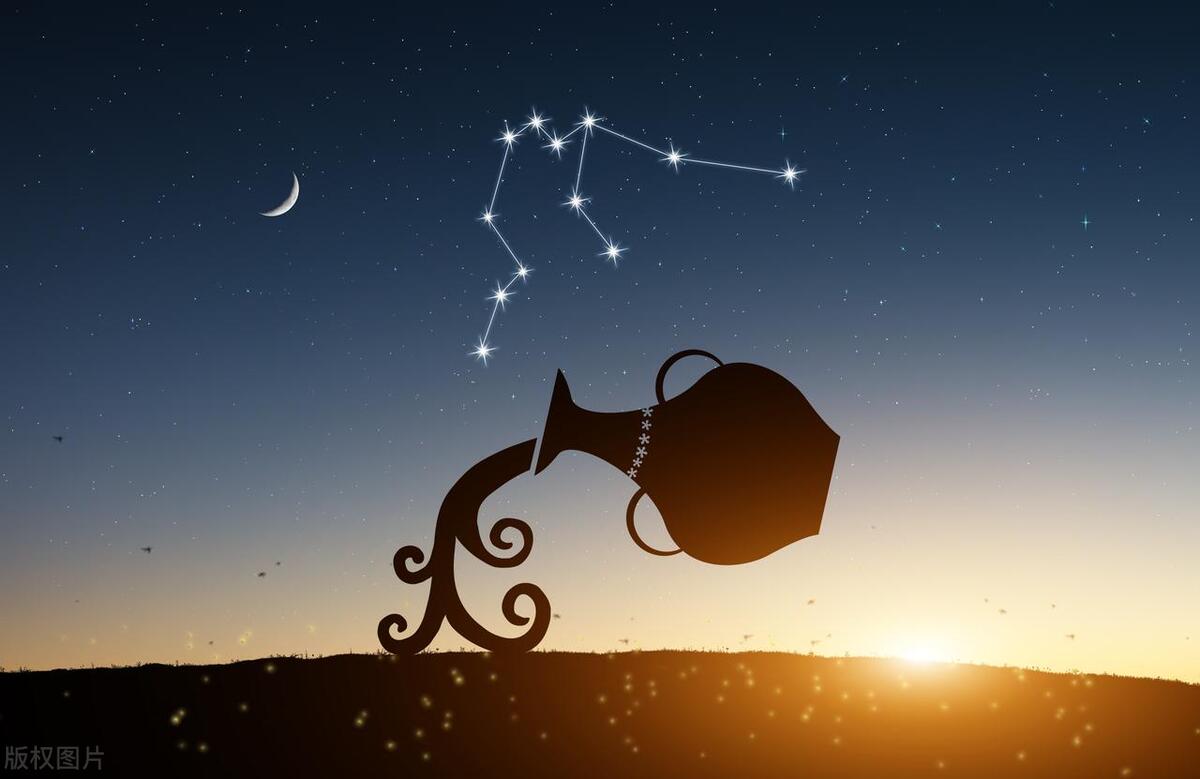 十二星座傻子排名