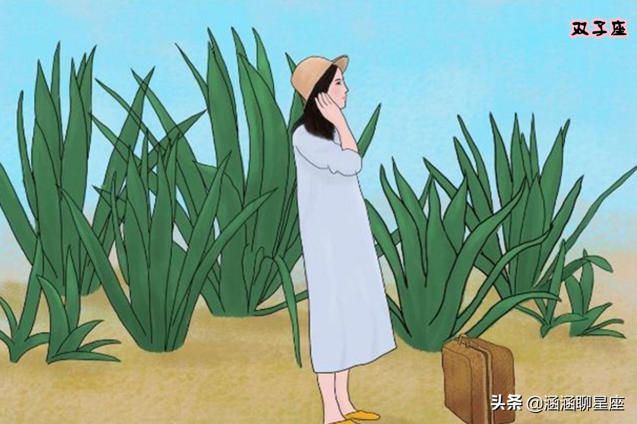 智商排前三的是哪些星座