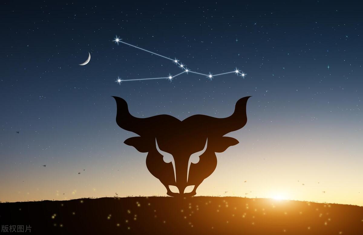 十二星座傻子排名