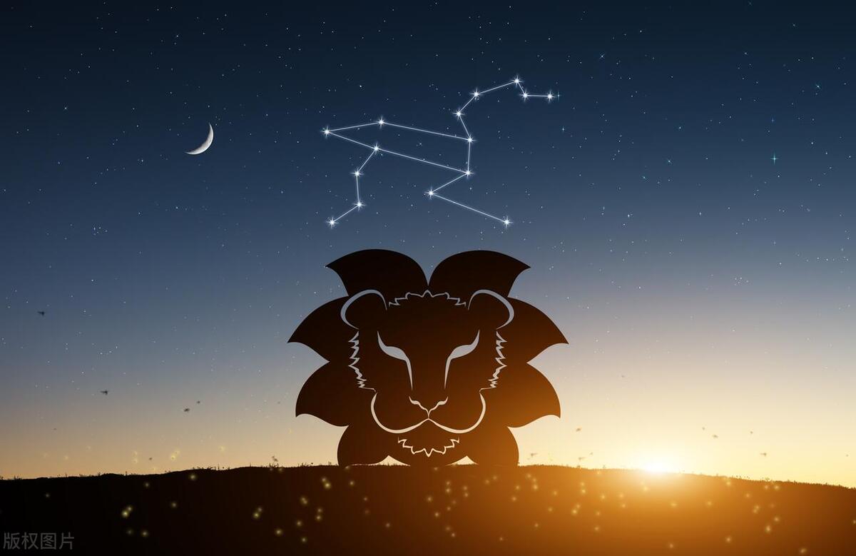 十二星座傻子排名