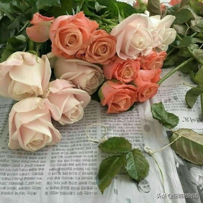 十二星座本命花分别是什么