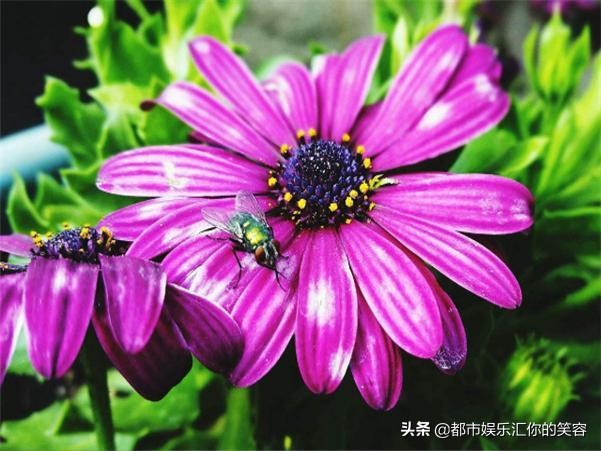 水瓶座命中注定的夫妻
