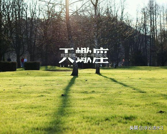 最容易爱上天秤座的三个星座