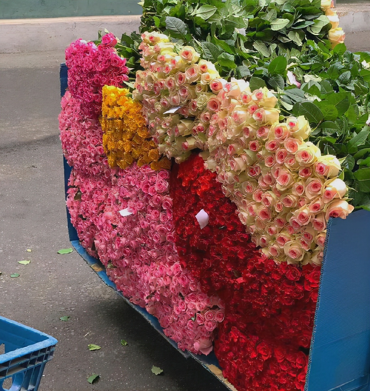 盘点性格特别正直