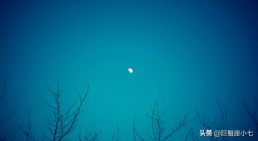这几个星座做事干脆
