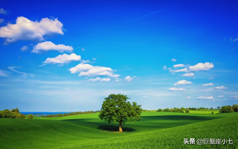 这几个星座做事干脆