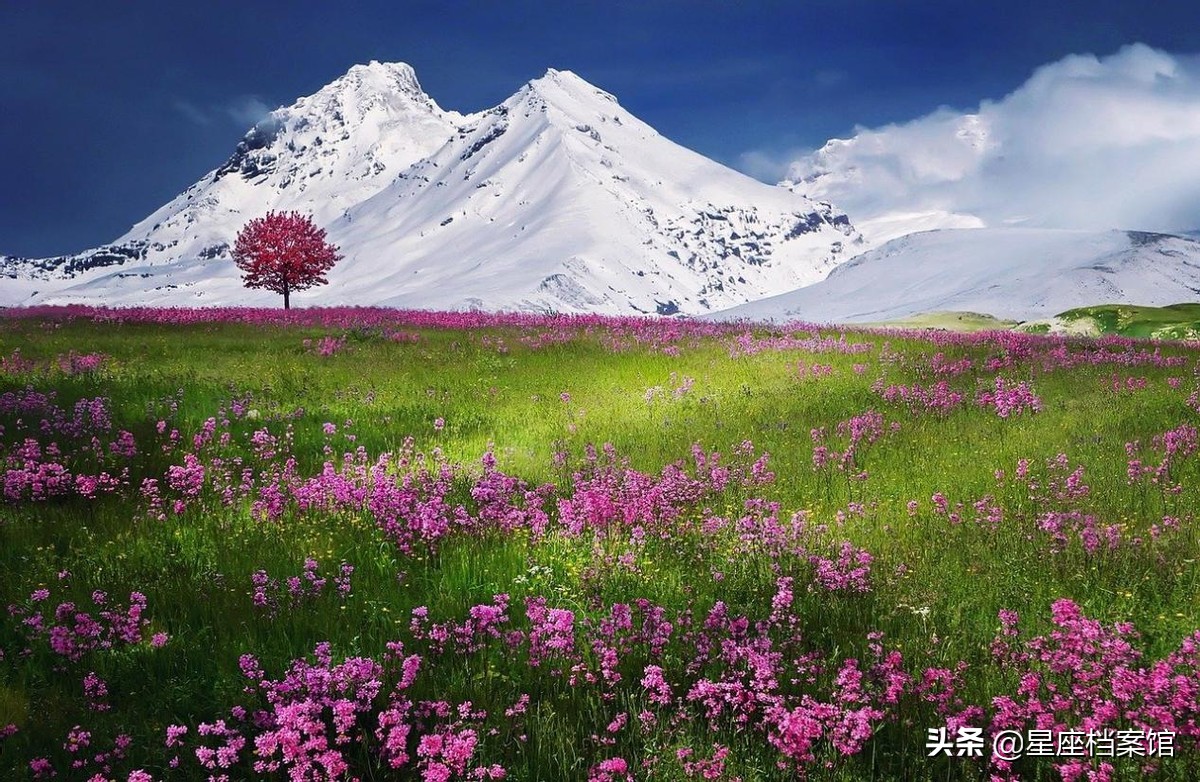 这几个星座做事有始有终
