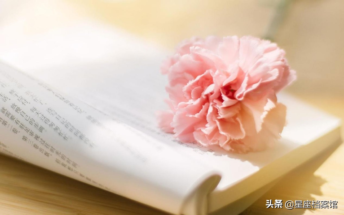 这几个星座满腹机巧