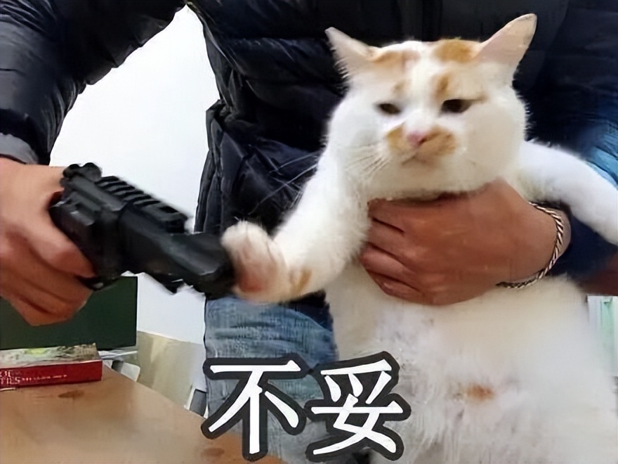 盘点不喜欢就会直言拒绝的几大星座