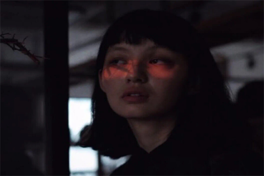 颜控的星座女生