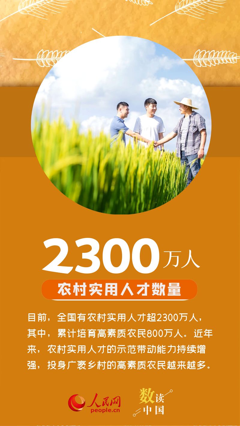 数读中国 