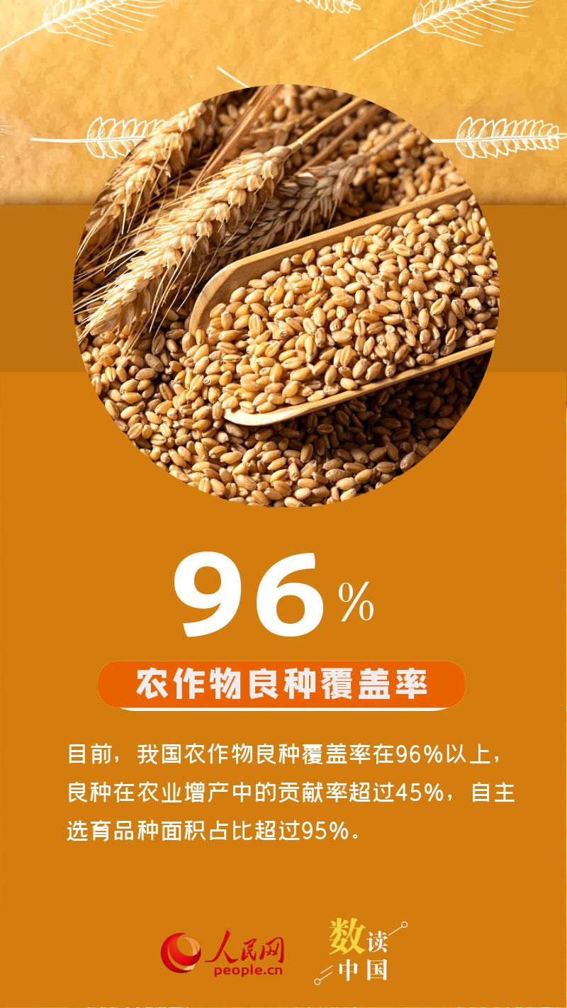 数读中国 