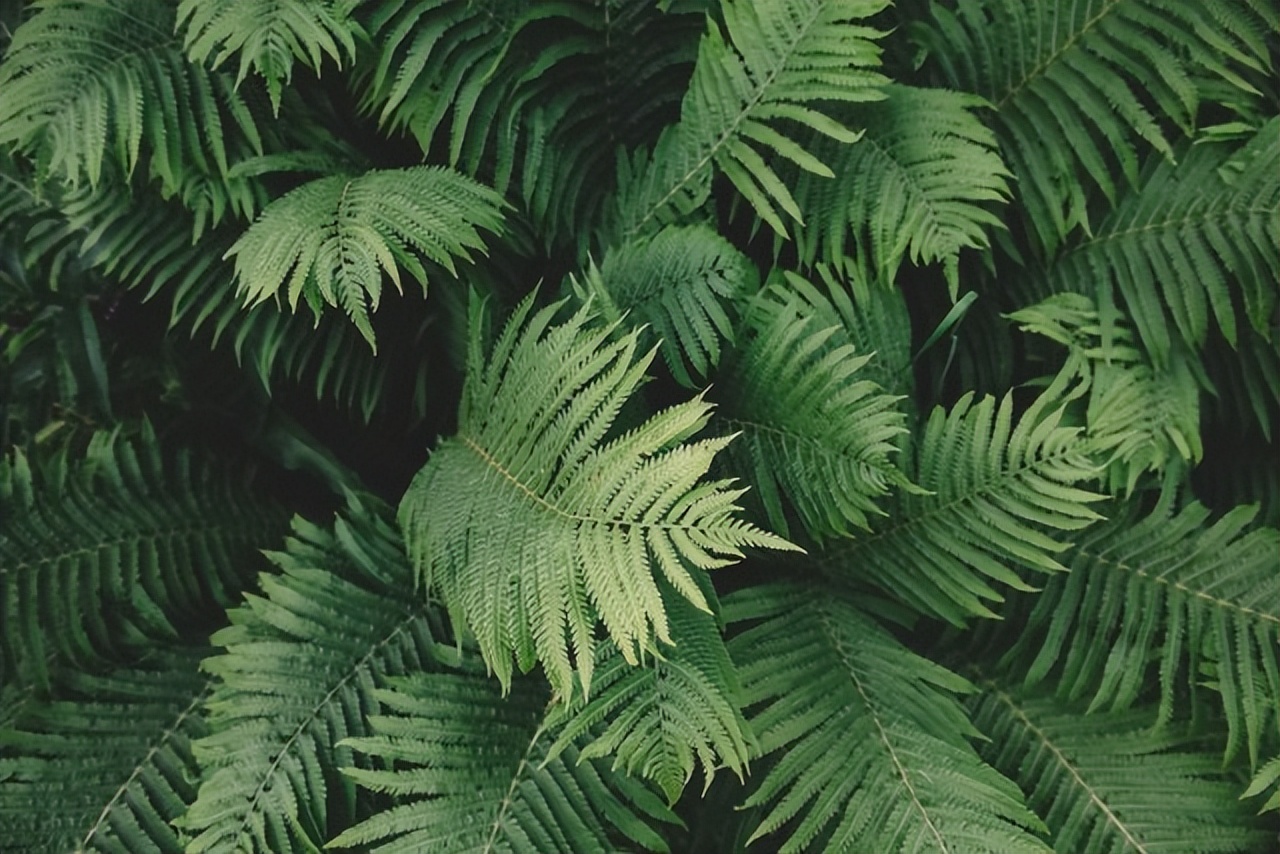 盘点几个可靠稳定