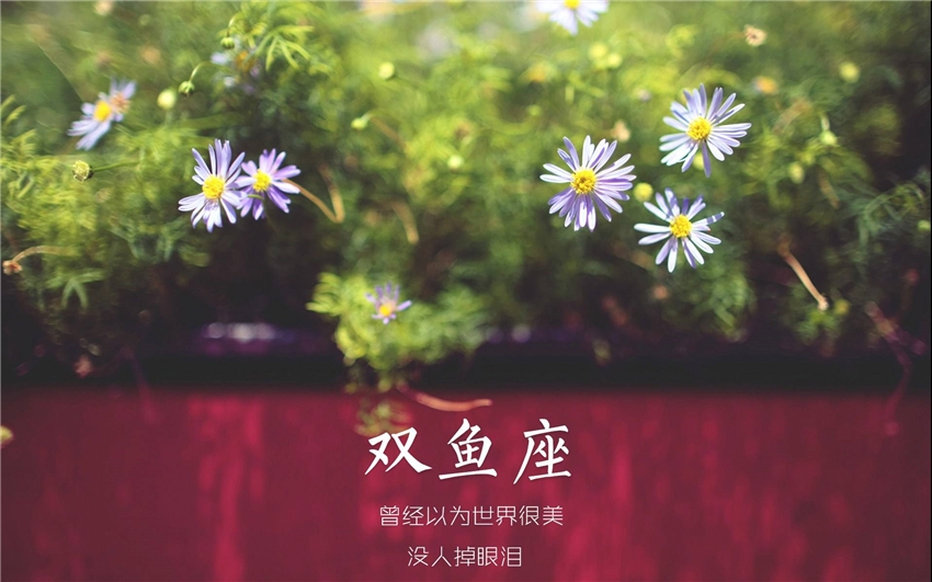 外表看起来柔弱