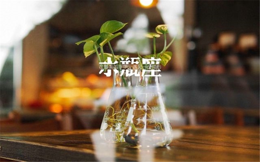 独来独往