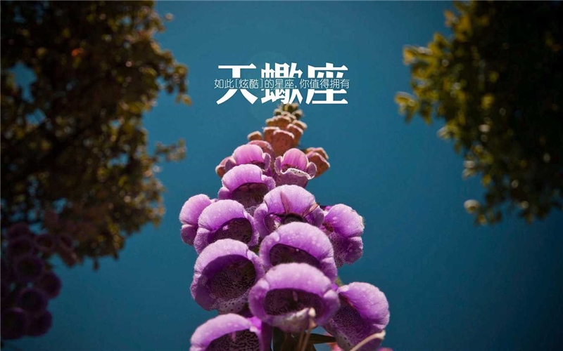 独来独往