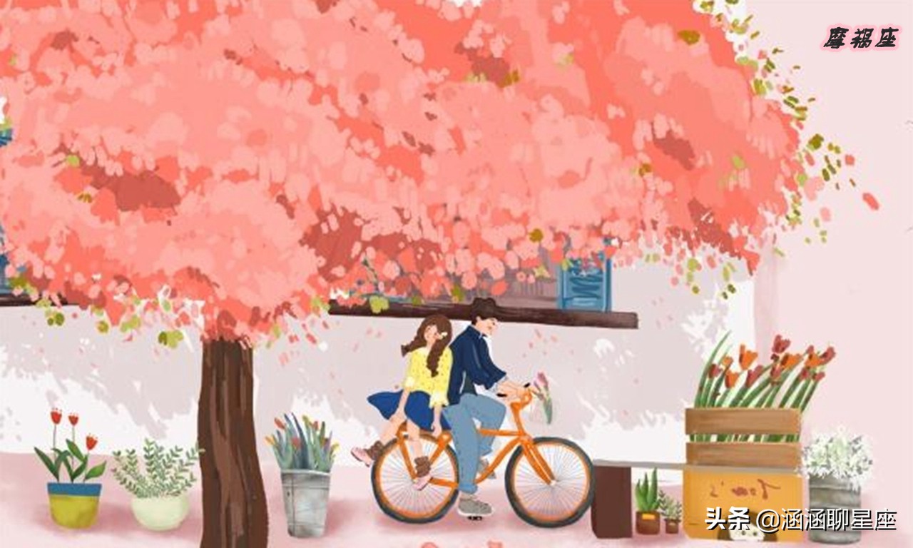 别被表面迷惑了
