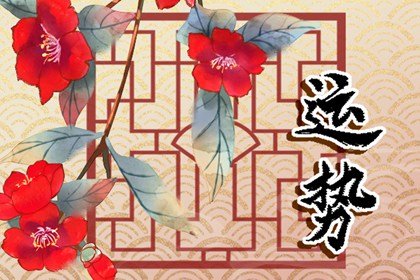 唐立淇2024年运势完整版