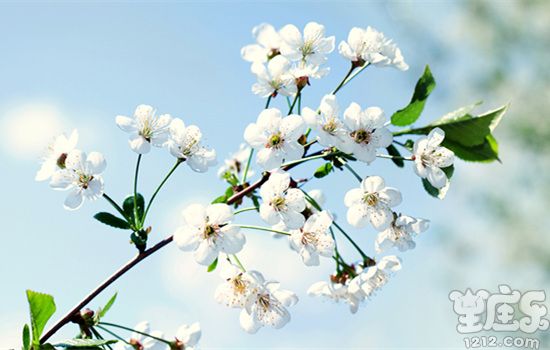 苏珊米勒2020年11月处女座运气
