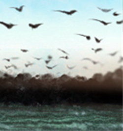 91654452.jpg_art