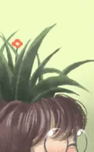 62752882.jpg_art