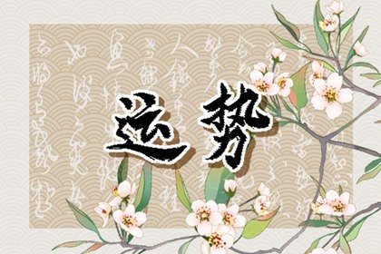 2024年运势12生肖运势详解
