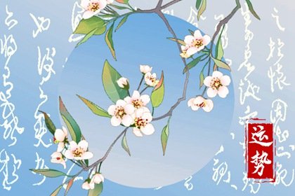 2024年运势及运程每月运程