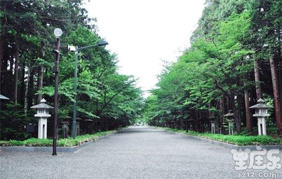 闹闹女巫处女座2021年运势