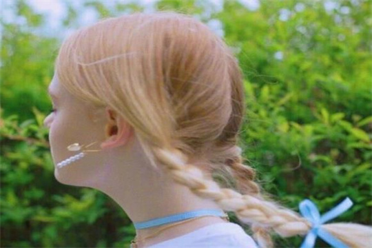 狮子座和天秤座的爱情