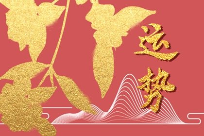 第一星运网络